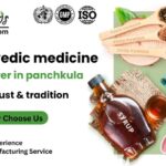 Top ayurvedic medicine manufacturer in panchkula—quality, trust & tradition