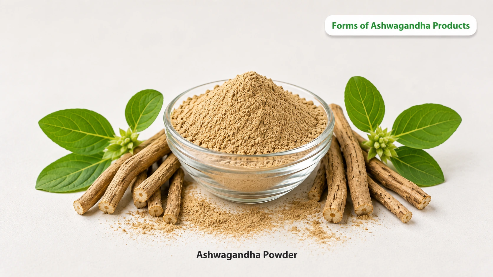 Ashwagandha Powder manufacturing by Phytovends