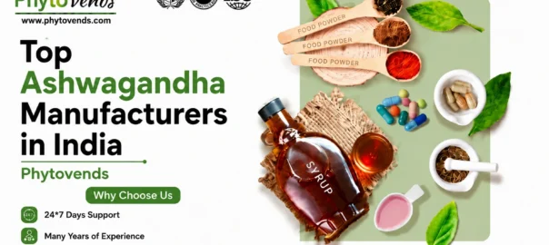 Top Ashwagandha Manufacturers in India | Phytovends